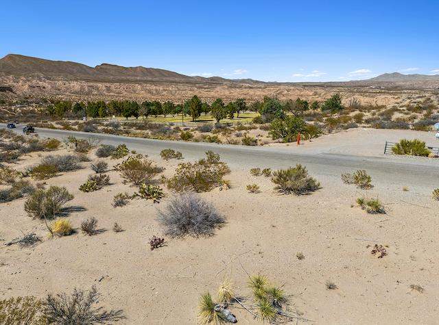 Thumbnail of slide 4