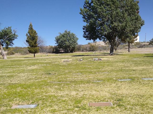 Thumbnail of slide 5